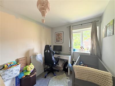 Picture 9
